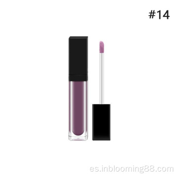 Pigmento personalizado Etiqueta privada Lip Gloss